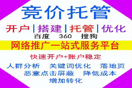 百度竞价SEM深度解析：某行业成功推广经验
